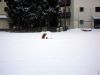 DSCN2386.JPG
